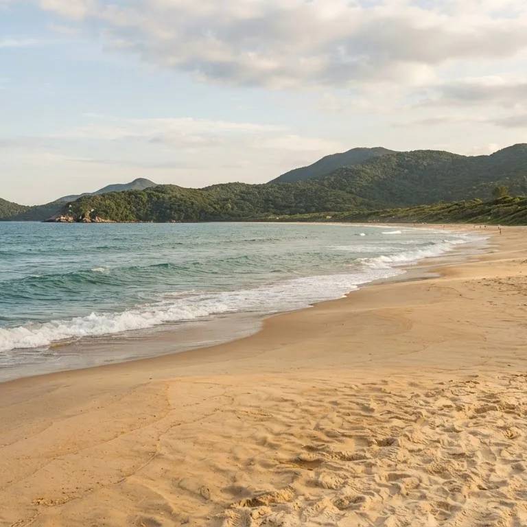 Praia de Mariscal